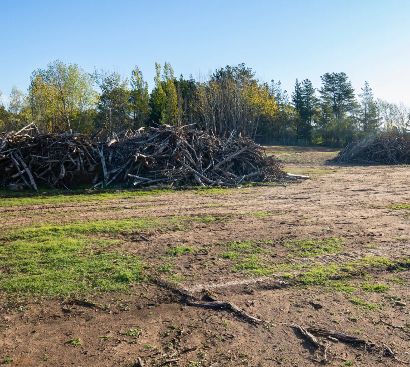 land clearing